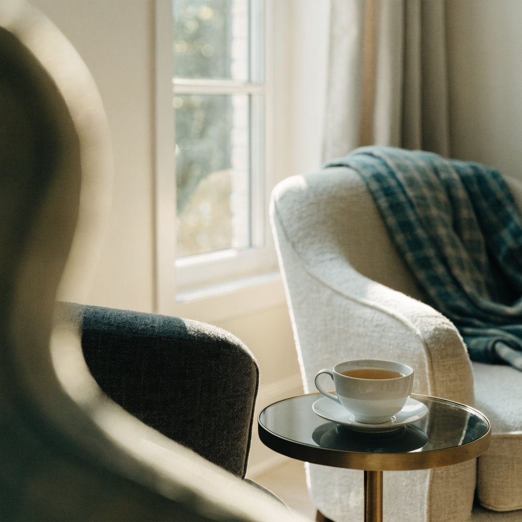 A caring companion sharing a warm conversation with a senior in a comfortable home